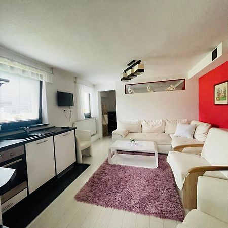 Apartmany Pod Troma Korunami Červený Kláštor المظهر الخارجي الصورة