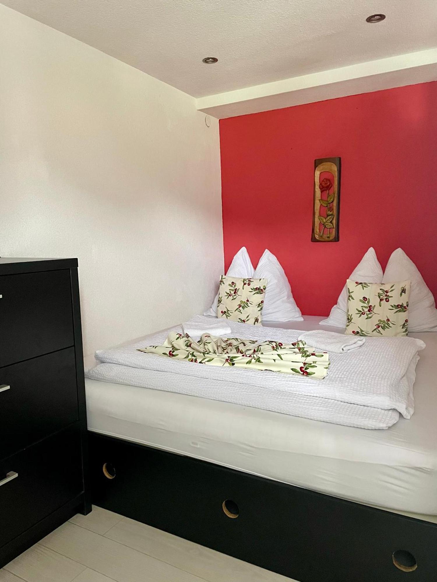 Apartmany Pod Troma Korunami Červený Kláštor المظهر الخارجي الصورة