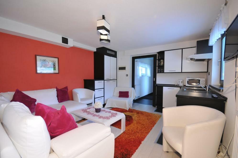 Apartmany Pod Troma Korunami Červený Kláštor المظهر الخارجي الصورة
